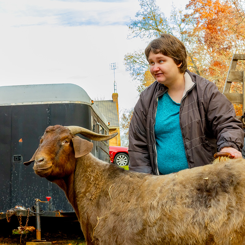 Farm Goat