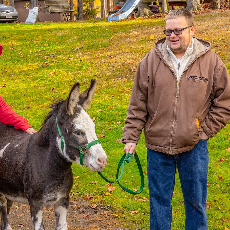 Walk the Donkey